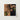 Square-framed Reproduction Classical Painting Adam’s Hand Apple Branch Dürer’s Adam Grips, Northern Renaissance Master, Renders, Flesh, Raw