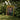 Framed Painting Yellow Border Nude Figure Surrounded Lush Paradise Detonates Genesis, Kristian Zahrtmann Fine Art, Marble Satyr Reanimated