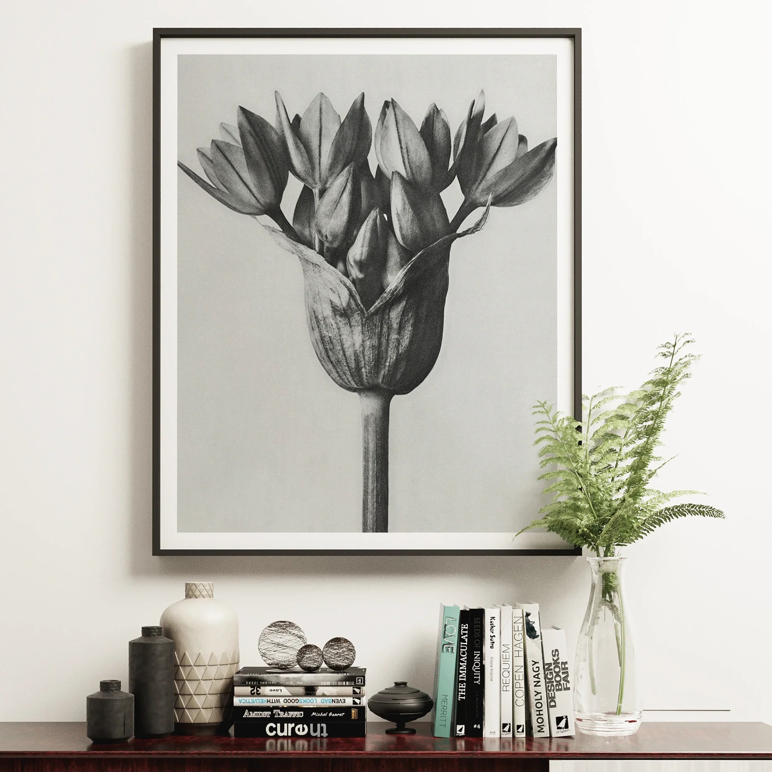 Allium Ostroroskianum (ornamental Onion) - Karl Blossfeldt Art Print 16’’x20’’ / Unframed Posters Prints &