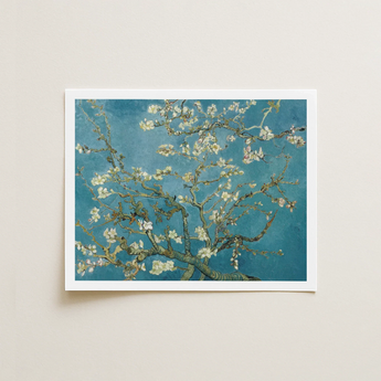 Framed Print Vincent Van Gogh’s Almond Blossom Delicate Gogh, Dutch Master’s Post-impressionist