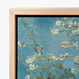 Framed Canvas Print Vincent Van Gogh’s Almond Blossoms Gogh, Blossom, Dutch Master’s Post-impressionist