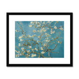 Almond Blossom - Vincent Van Gogh Art Print, Framed Almond Blossom Painting