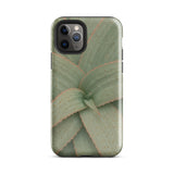 Aloe Pattern Iphone Case, 11 Pro / Gloss, Mobile Phone Cases, Toby Leon