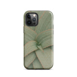 Aloe Pattern Iphone Case, 12 Pro / Gloss, Mobile Phone Cases, Toby Leon