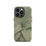 Aloe Pattern Iphone Case, 13 Pro / Matte, Mobile Phone Cases, Toby Leon