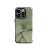 Aloe Pattern Iphone Case, 14 Pro / Gloss, Mobile Phone Cases, Toby Leon