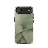 Aloe Pattern Iphone Case, 17 Air / Gloss, Mobile Phone Cases, Toby Leon