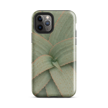 Aloe Pattern Phone Case Iphone 11 Pro / Gloss Sleek Matte-finish Phone Case Detailed Close-up Green Succulent Aloe Vera Succulent,