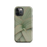 Aloe Pattern Phone Case Iphone 12 Pro / Gloss Sleek Phone Case Detailed Close-up Print Green Succulent Aloe Vera Succulent, Star-shaped