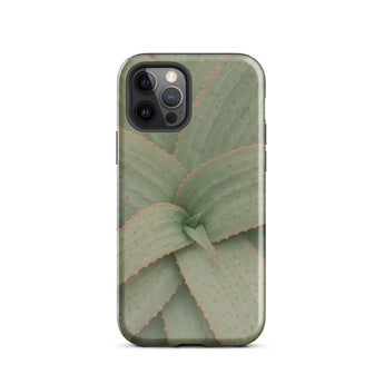 Aloe Pattern Phone Case Iphone 12 Pro / Gloss Sleek Phone Case Detailed Close-up Print Green Succulent Aloe Vera Succulent, Star-shaped