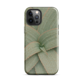 Aloe Pattern Phone Case Iphone 12 Pro Max / Gloss Sleek Phone Case Detailed Close-up Print Green Succulent Aloe Vera Succulent, Star-shaped