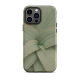 Aloe Pattern Phone Case Iphone 13 Pro Max / Matte Sleek Phone Case Detailed Muted Green Succulent Leaf Aloe Vera Succulent, Star-shaped