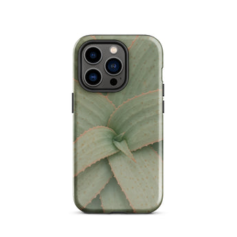 Aloe Pattern Phone Case Iphone 14 Pro / Gloss Sleek Matte-finish Phone Case Detailed Print Aloe Vera Succulent, Star-shaped Architecture,