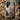 Altar - Surreal Cactus Goddess Art Phone Case, Evolved