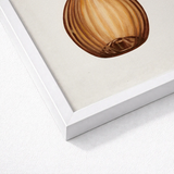 Framed Botanical Illustration Hazelnut Warm Brown Tones Visible Anna Aloisi’s 1930s, Amber, Aloisi Glassware