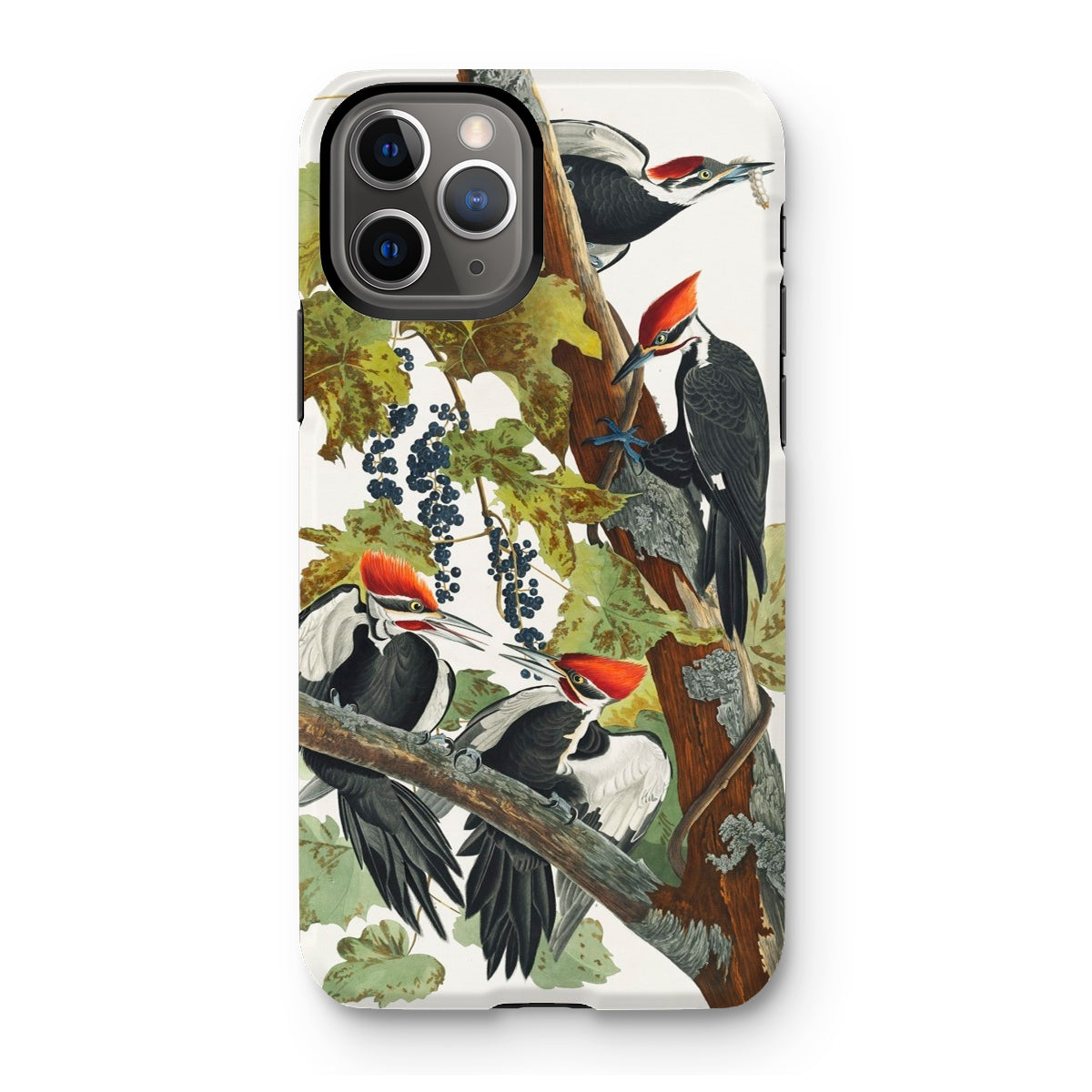 American Sparrow Hawk - John James Audubon Iphone Case, 11 Pro / Matte, Woodpecker-themed Phone Case