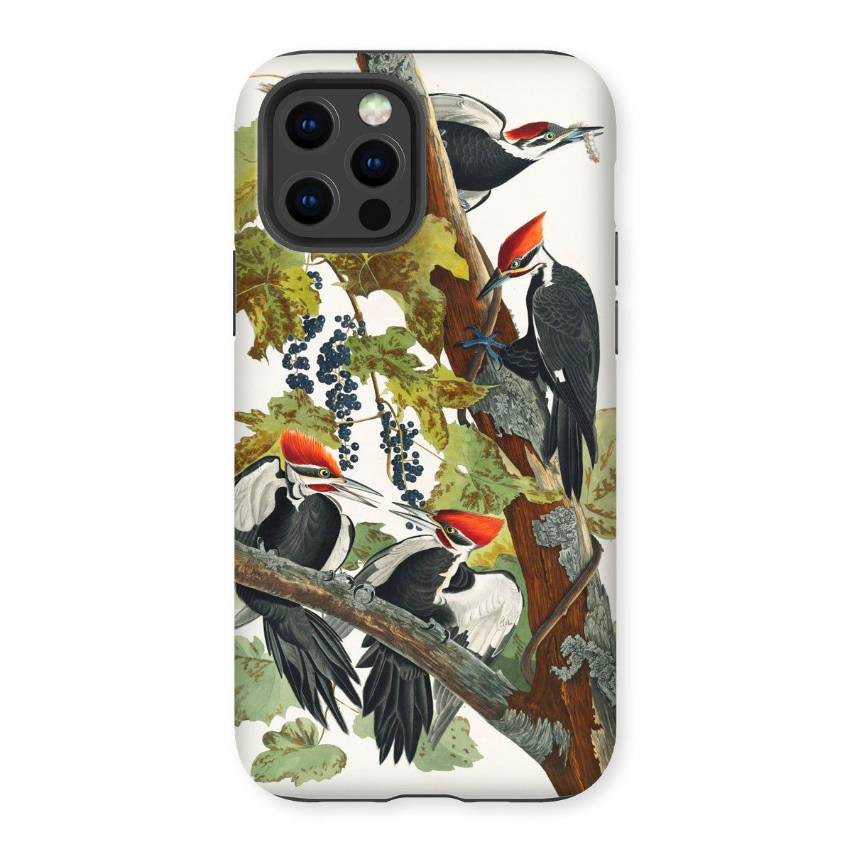 American Sparrow Hawk - John James Audubon Iphone Case, 12 Pro / Matte, Pileated Woodpeckers Phone Case