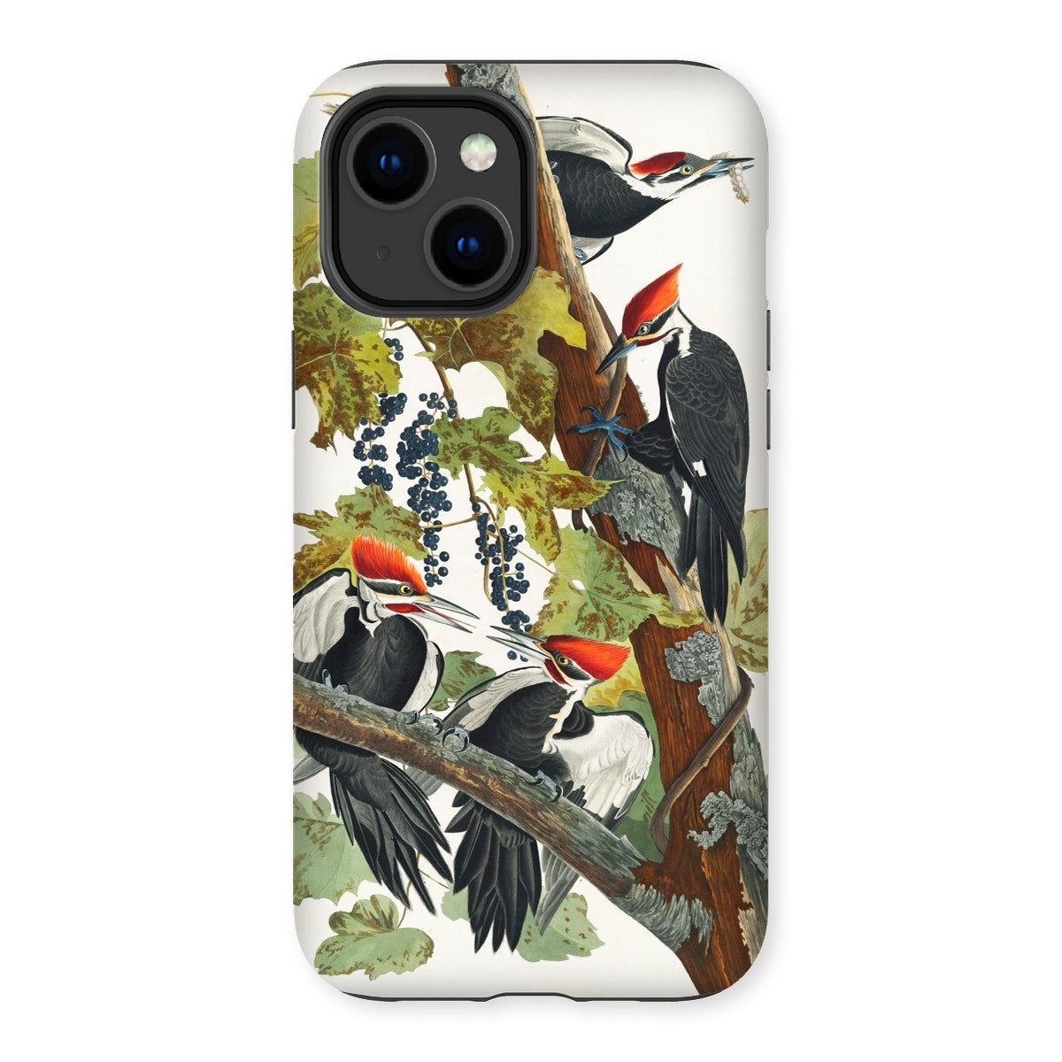 American Sparrow Hawk - John James Audubon Iphone Case, 14 Plus / Matte, Woodpecker-themed Phone Case