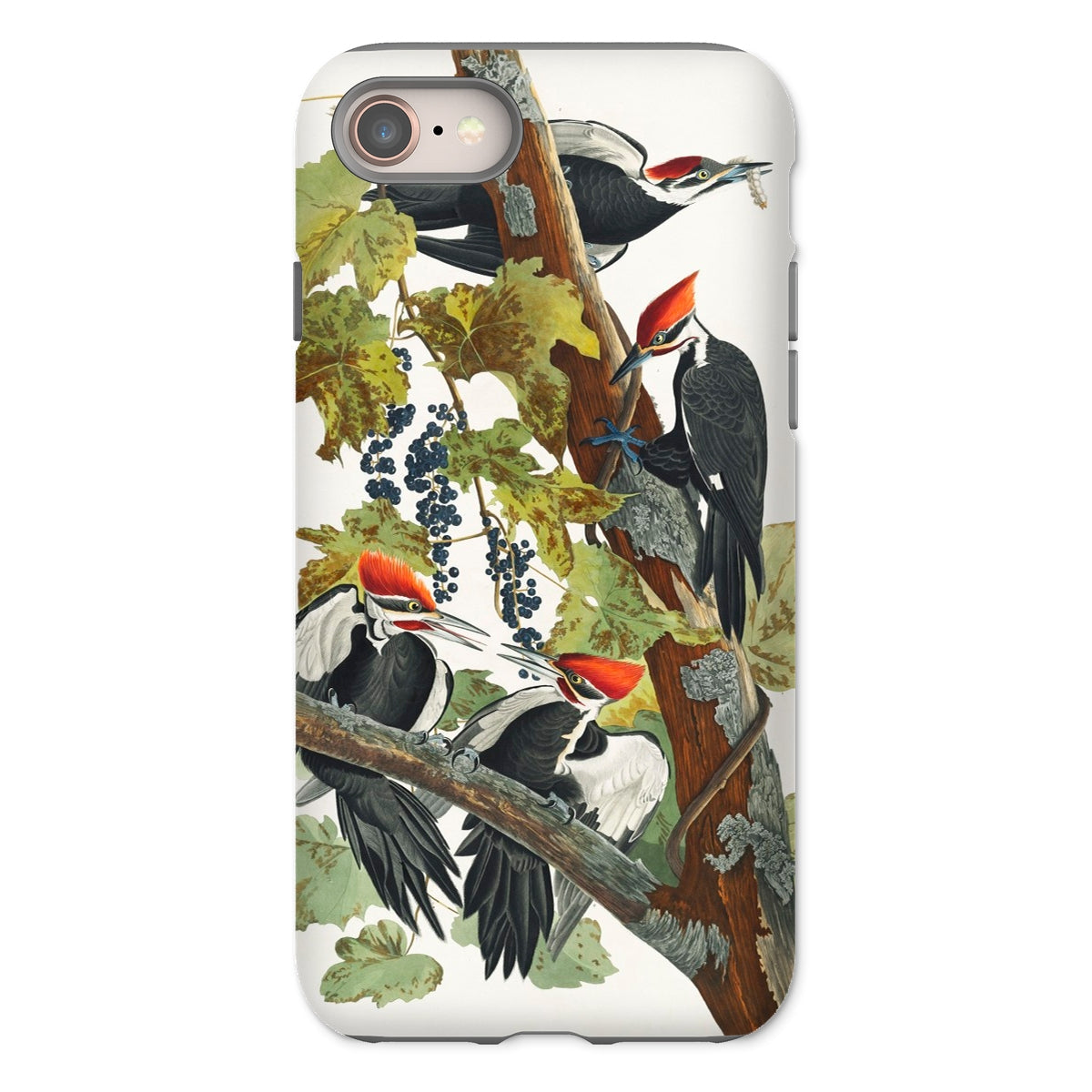 American Sparrow Hawk - John James Audubon Iphone Case, 8 / Matte, Woodpecker-themed Phone Case