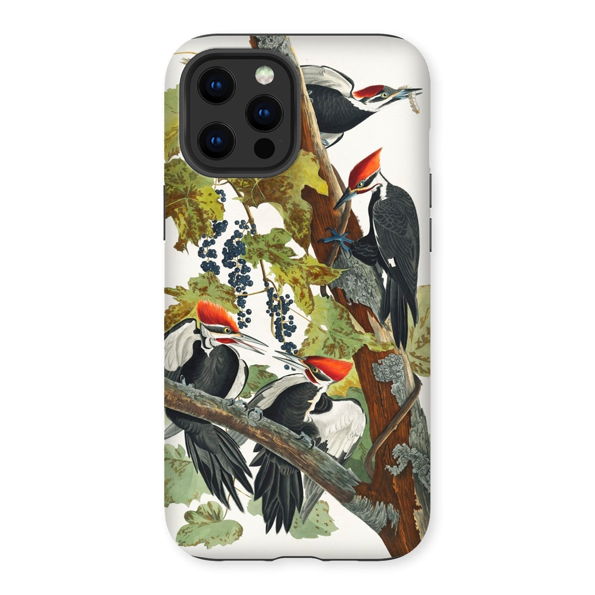 American Sparrow Hawk - John James Audubon Iphone Case - 12 Pro Max / Matte