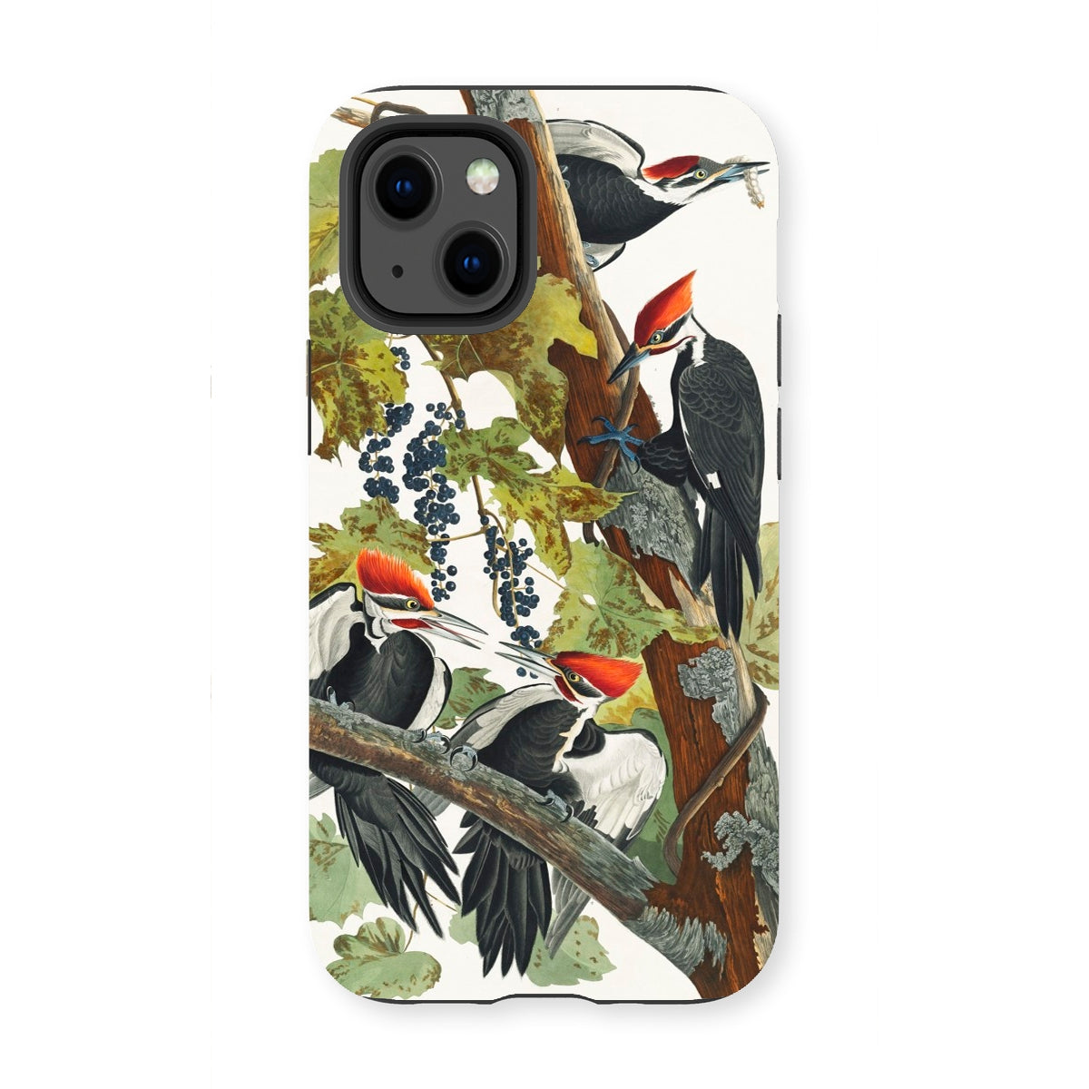 American Sparrow Hawk - John James Audubon Iphone Case - 13 Mini / Matte