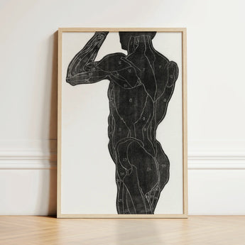 Framed Anatomical Illustration Human Muscular Black White Light Reijer Stolk, Study, Butt Muscles, Turns, Posterior Silhouette Rises, Dense