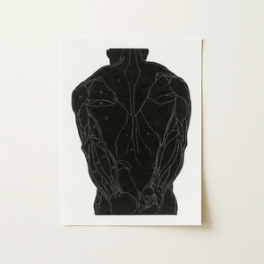 Anatomical Study of a Man’s Back Muscles - Reijer Stolk Art Print / Canvas Black Anatomical Muscle Diagram Print White Paper Study, Reijer