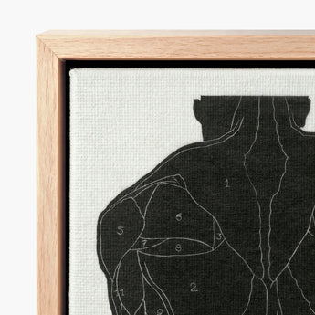 Black Anatomical Muscle Diagram Canvas Art Light Wood Reijer Stolk, Study, Figure Stands Square, Print, Muscles Presents, Posterior Torso,