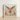 Framed Artwork Vibrant Intricately Detailed Insect Turquoise Wings Angel Muff Wasp, Alien, Taxonomy
