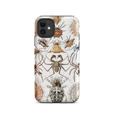 Arachnida - Ernst Haeckel Spider Taxonomy Iphone Case, 11 / Matte, Spider-patterned Phone Case