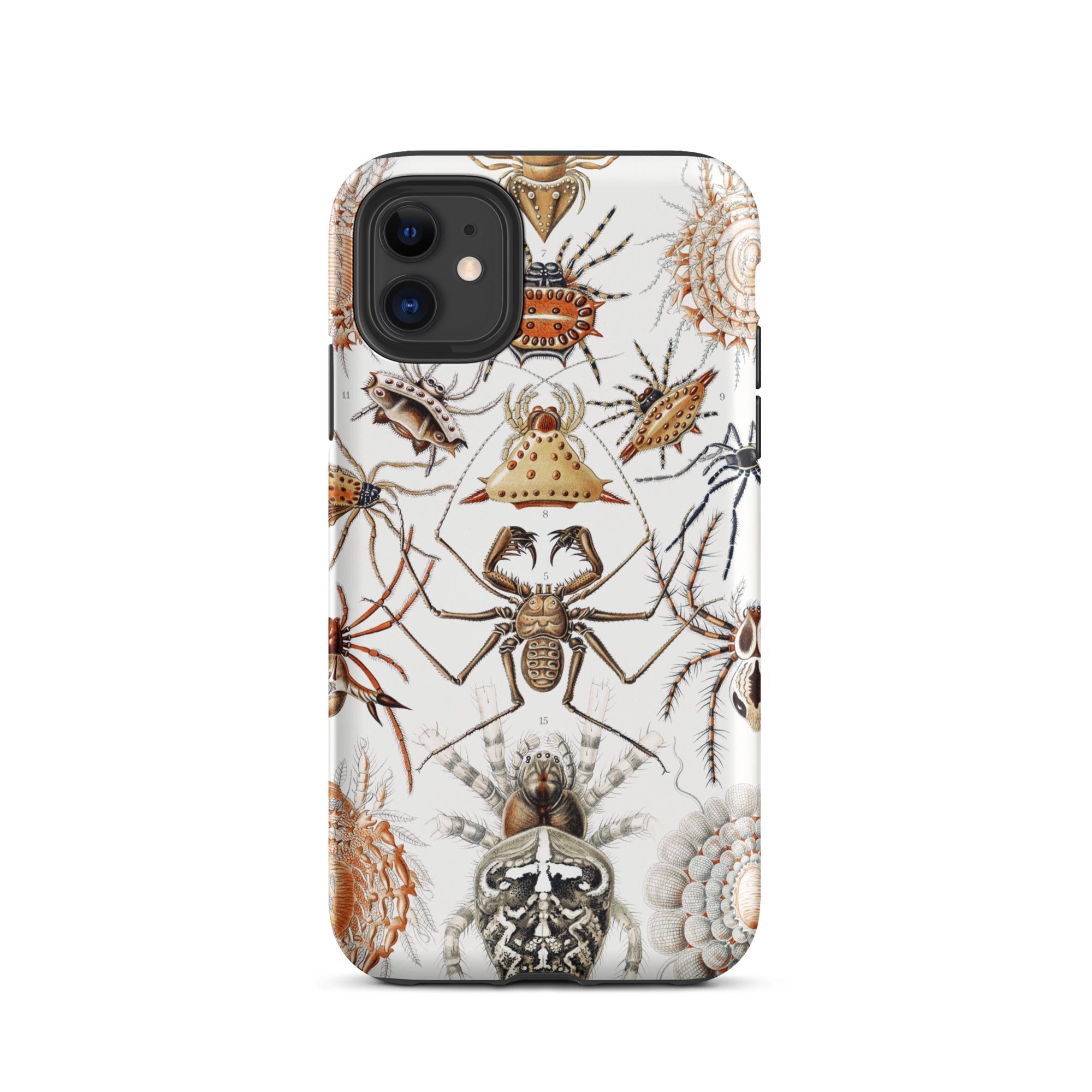 Arachnida Ernst Haeckel Spider Taxonomy Iphone Case, 11 / Matte, Spider Patterned Phone Case