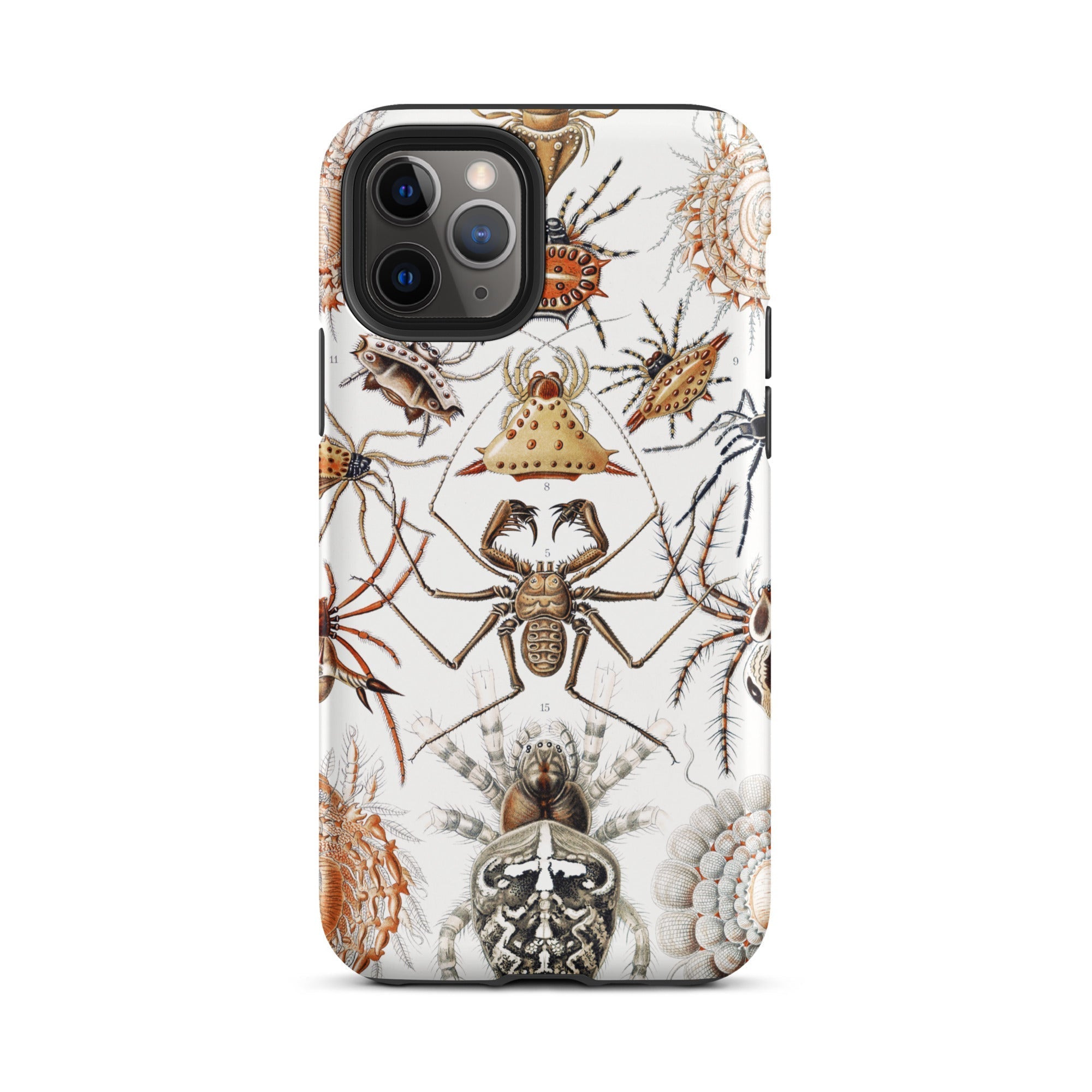 Arachnida Ernst Haeckel Spider Taxonomy Iphone Case, 11 Pro / Matte, Spider Patterned Phone Case