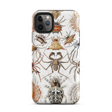 Arachnida - Ernst Haeckel Spider Taxonomy Iphone Case, 11 Pro Max / Matte, Spider-themed Phone Case