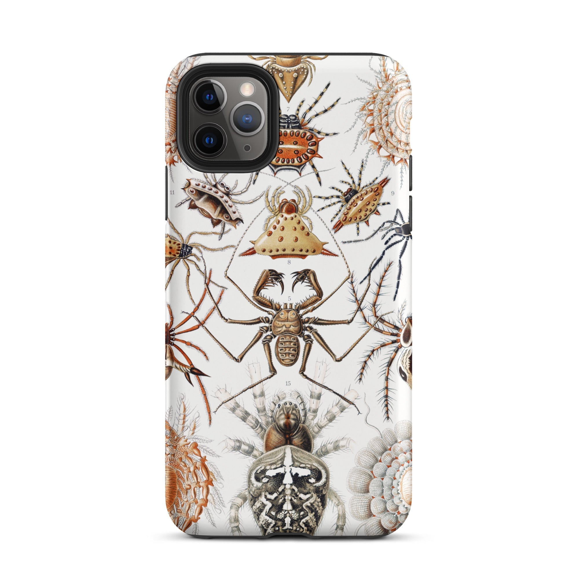 Arachnida Ernst Haeckel Spider Taxonomy Iphone Case, 11 Pro Max / Matte, Spider Themed Phone Case