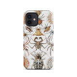 Arachnida - Ernst Haeckel Spider Taxonomy Iphone Case, 12 / Matte, Spider-patterned Phone Case