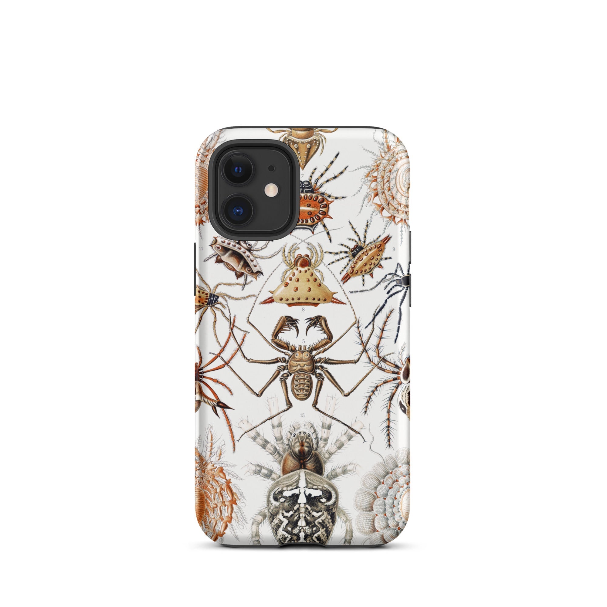 Arachnida Ernst Haeckel Spider Taxonomy Iphone Case, 12 Mini / Matte, Spider Patterned Phone Case