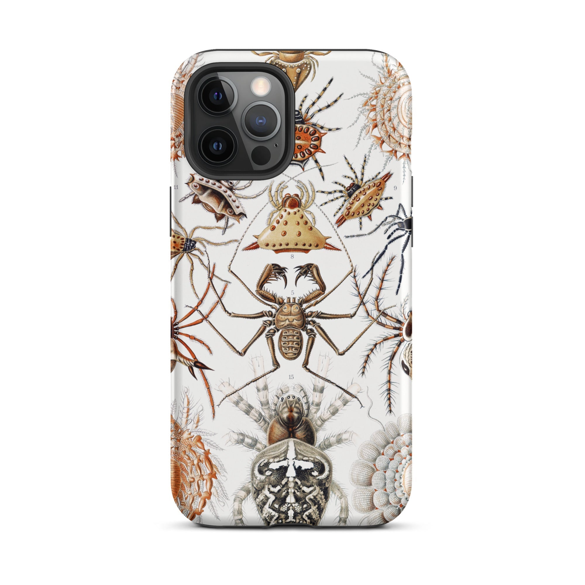 Arachnida Ernst Haeckel Spider Taxonomy Iphone Case, 12 Pro Max / Matte, Spider Themed Phone Case