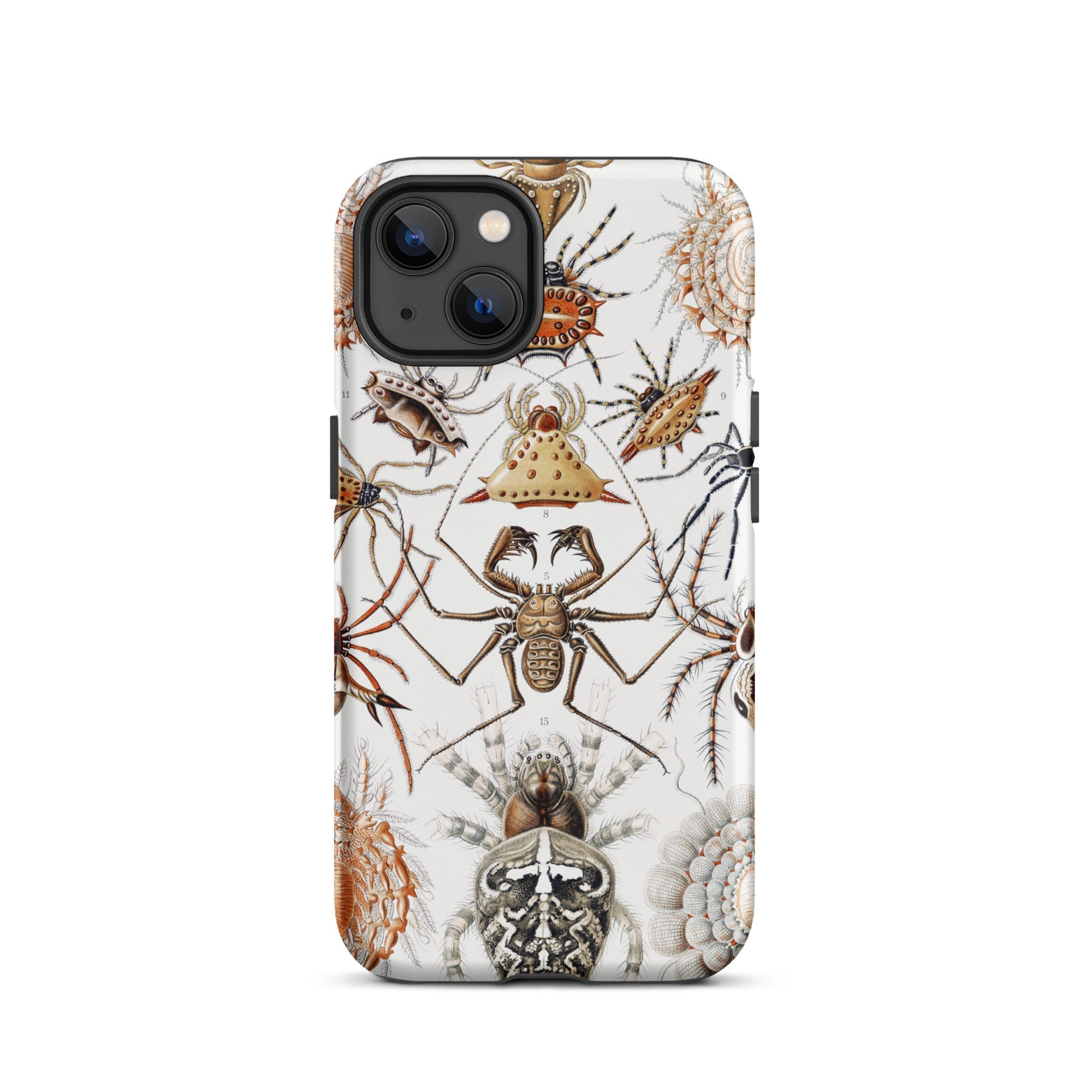 Arachnida Ernst Haeckel Spider Taxonomy Iphone Case, 13 / Matte, Spider Themed Phone Case