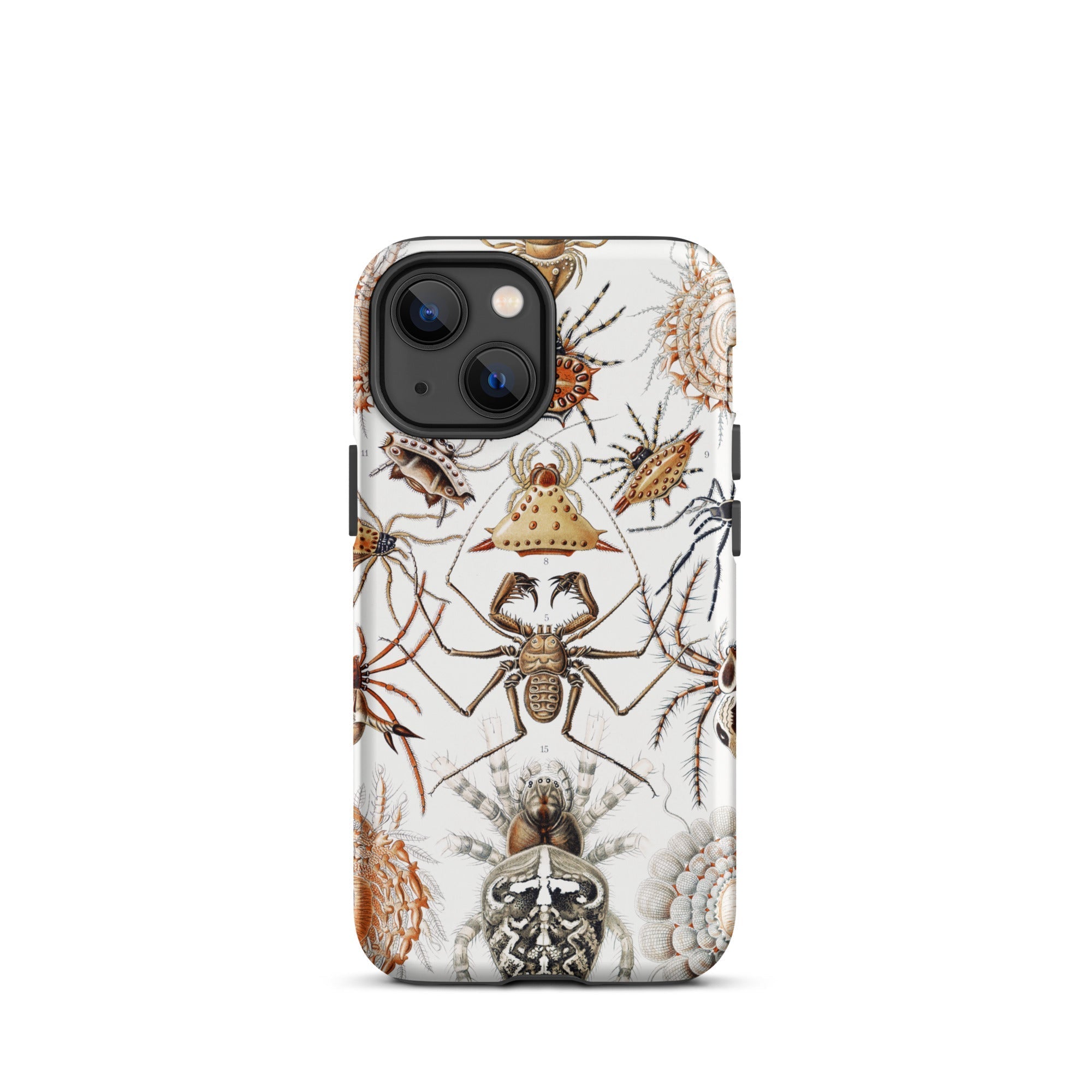 Arachnida Ernst Haeckel Spider Taxonomy Iphone Case, 13 Mini / Matte, Spider Patterned Phone Case