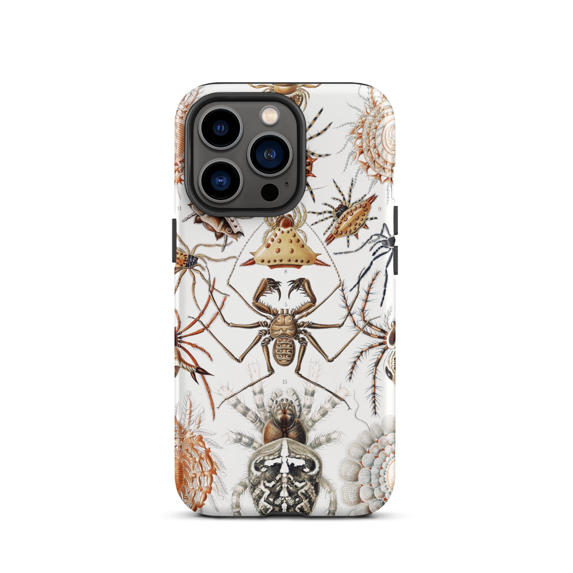 Arachnida Ernst Haeckel Spider Taxonomy Iphone Case, 13 Pro / Matte, Spider Themed Phone Case