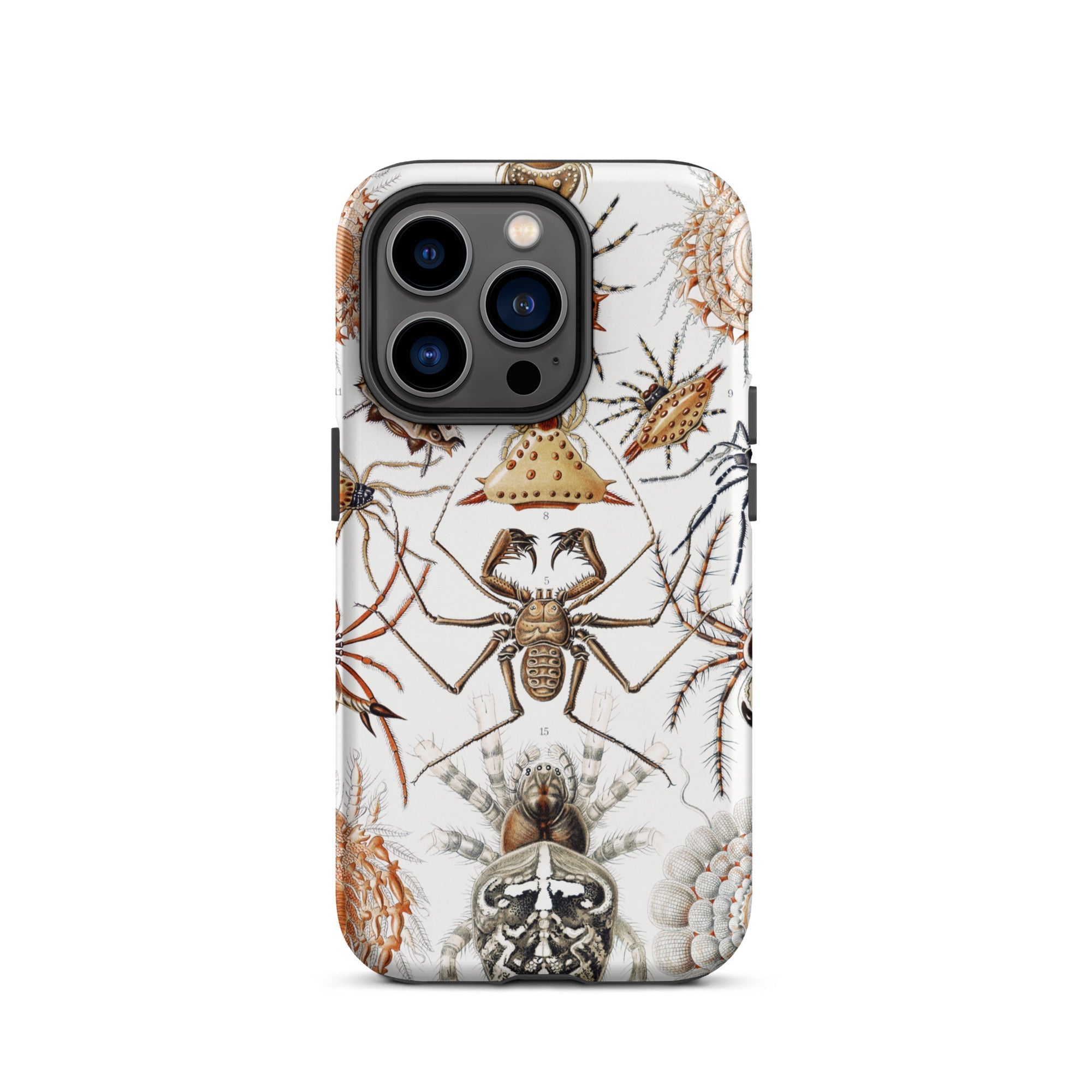 Arachnida Ernst Haeckel Spider Taxonomy Iphone Case, 14 Pro / Matte, Spider Themed Iphone Case