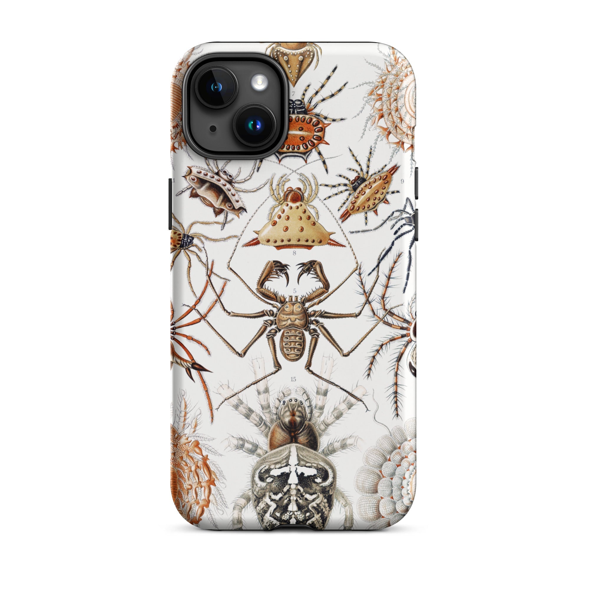 Arachnida Ernst Haeckel Spider Taxonomy Iphone Case, 15 Plus / Matte, Spider Themed Iphone Case