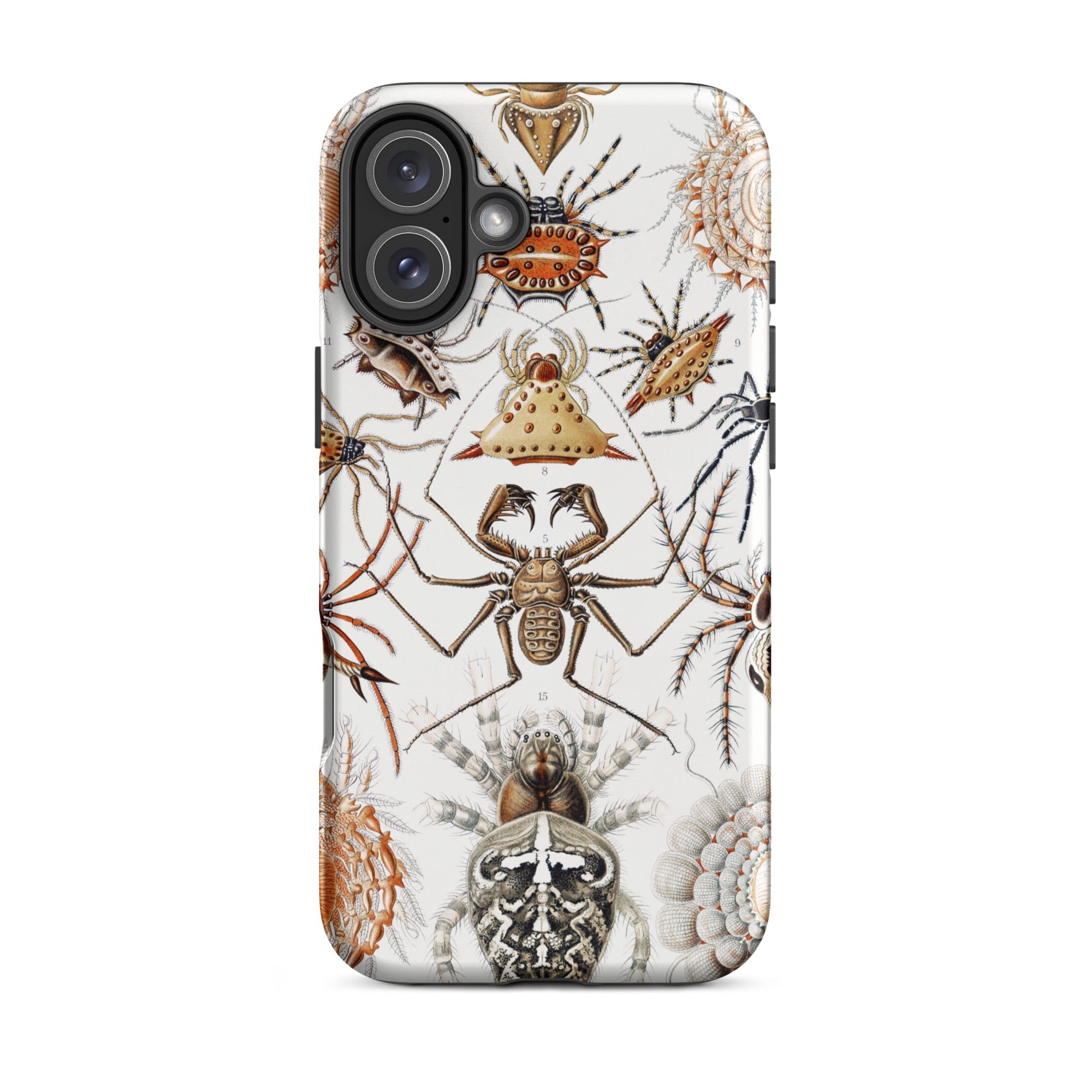 Arachnida Ernst Haeckel Spider Taxonomy Iphone Case, 16 Plus / Matte, Spider Themed Phone Case