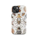 Arachnida - Ernst Haeckel Spider Taxonomy Phone Case Iphone 14 / Matte Spider-themed, Dissecting Table Spiders Mobile Cases