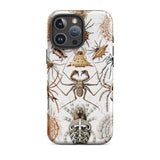 Arachnida - Ernst Haeckel Spider Taxonomy Phone Case Iphone 16 Pro Max / Matte Spider-themed, Dissecting Table Spiders Mobile Cases