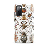 Arachnida - Ernst Haeckel Spider Taxonomy Phone Case Samsung Galaxy S20 Fe / Matte White Adorned Detailed Vintage-style Illustration