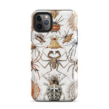Arachnida - Ernst Haeckel Spider Taxonomy Phone Case Iphone 11 Pro Max / Matte Spider-themed Phone Case Ernst Haeckel Spider, Spider