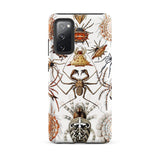 Arachnida - Ernst Haeckel Spider Taxonomy Phone Case Samsung Galaxy S20 Fe / Matte White Phone Case Adorned Detailed Vintage-style