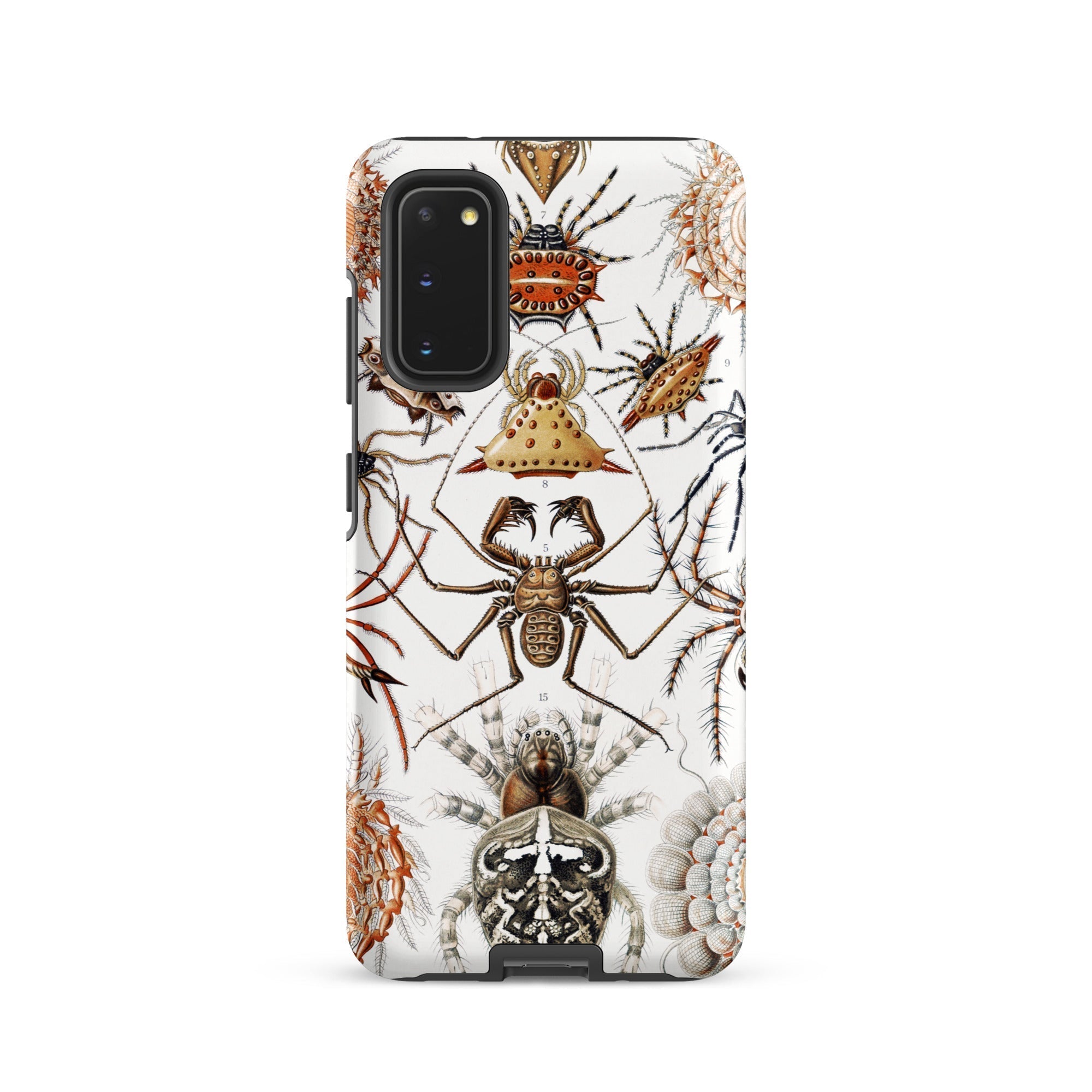 Arachnida Ernst Haeckel Spider Taxonomy Samsung Case, Galaxy S20 / Matte, Smartphone Case Detailed Vintage Style Illustration Spiders