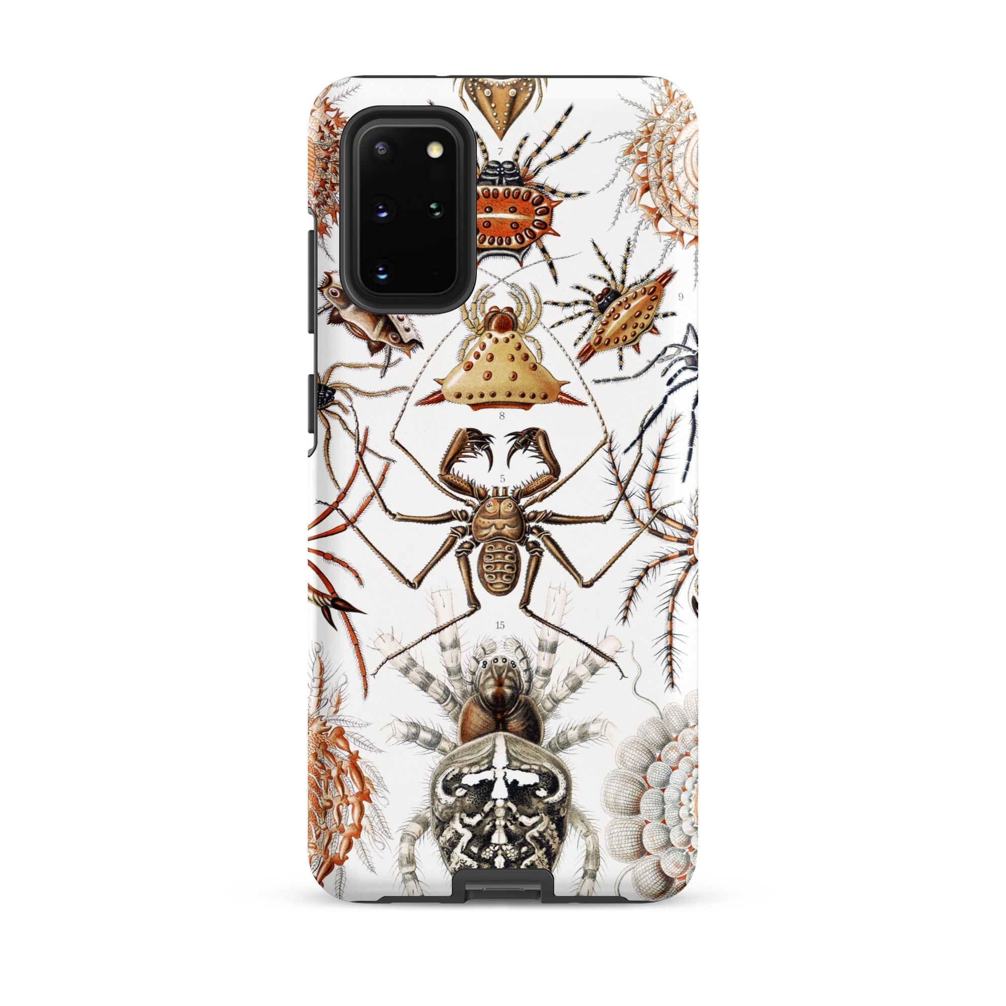 Arachnida Ernst Haeckel Spider Taxonomy Samsung Case, Galaxy S20 Plus / Matte, White Phone Case Detailed Illustration Spiders Arachnids